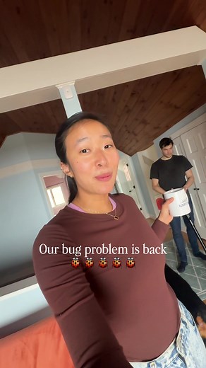 Lady Beetle Infestation: How Are They Getting In?