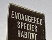 Relocating prairie dogs displaced by solar power