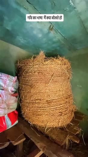 Sunil —Sahu on Instagram: "आप लोग का भाषा में क्या बोलते हो . . . . . . . . . . . . . . . . . . . #chhattisgarh #buster #explorepage✨ #explorer #cgvideo"