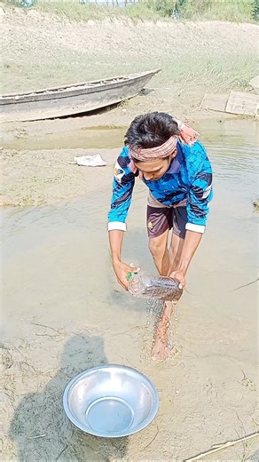 Collecting fish from bottles #fish #fishpetfun