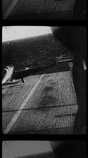 What Happened To The Allied Fleet At The Battle Of Java Sea? | World of Warships