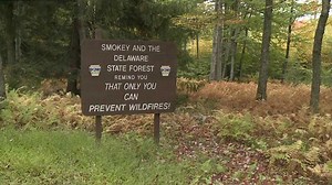 Delaware State Forest Off Limits During Manhunt