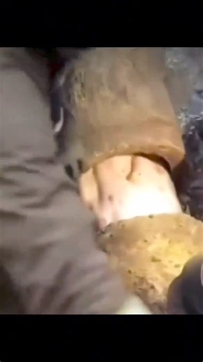 19M views · 421K reactions | Complications Funny and Fail Moment 12 #funny #funnyvideo #funnymoments #fail #failvideo #failscompilation #fyp #fypシ | Chovnime | Facebook