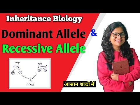 Dominant Allele and Recessive Allele | What is Allele? 🙂🤨