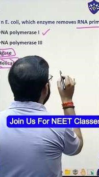 DNA Polymerase | NEET Biology | United Learning