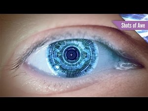 We Are Already Cyborgs