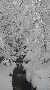 22K views · 1.6K reactions | Les images de la neige d'avant hier en descendant du Mas de la Barque... La définition du paradis ❄️ 朗 | Météo Languedoc | Facebook