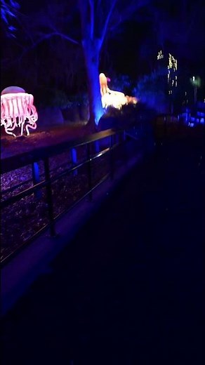 Bronx Zoo Holiday Lights: Glowing Jellyfish with Jack Rose 🎄✨🐙♿️