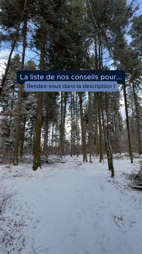 Voici notre liste des petites choses à partager pour bien commencer l’année ✨ Parce que ce sont souvent les gestes les plus simples qui font toute la différence… - Un sourire sincère - Un café ou un chocolat chaud - Un fou rire spontané - Un moment sans téléphone - Un mot d’encouragement - Un souvenir à raconter - Une bonne résolution partagée - Un “comment allez-vous, vraiment ?” Et vous, quelle petite chose avez-vous envie de partager pour bien démarrer cette année ? 💫 | Center Parcs France