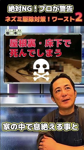 【ネズミ駆除】侵入経路を「塞ぐ」は危険！家中でネズミが繁殖する最悪の事態とは？#害獣駆除のプロpart1-2 #ネズミ駆除