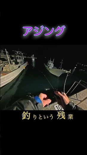 【アジング】足元を回遊するアジを釣る日#アジング#自作#ワーム#アジ#ジグ単#ベイト#ベイトフィネス#ベイトアジング#海釣り