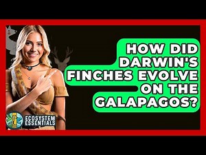 How Did Darwin's Finches Evolve On The Galapagos? - Ecosystem Essentials