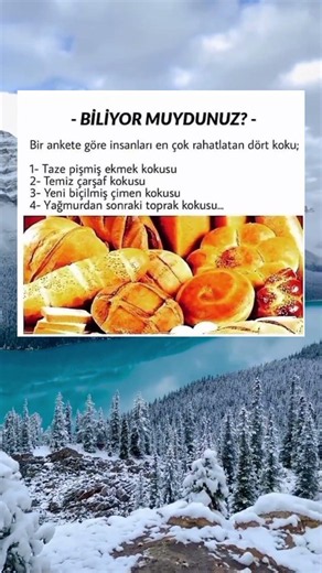 İnsanları en çok rahatlatan dört koku...!