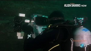 86K views · 2.9K reactions | These sharks go back 400 million years, and we're just starting to understand them! #SharkInTheDark | Shark Week | Facebook