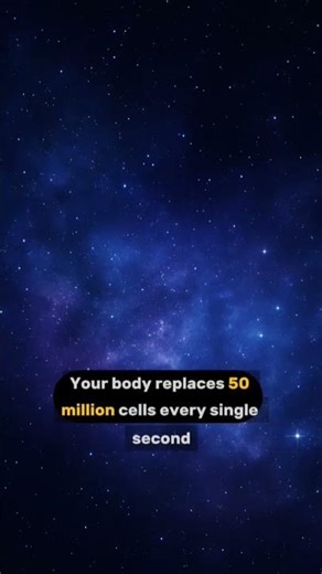 “3 Human Body Facts That Sound Impossible… But Are 100% Real!”🤯