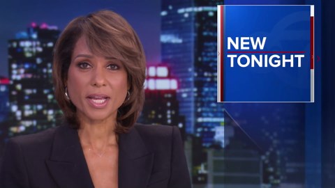 Witness recalls near-death experience as massive tree falls on car: 'I heard cracking'