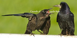 30 refranes españoles sobre el tiempo: los más populares con su significado