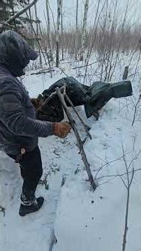 I Built a Bushcraft Shelter in the Wild #survival #bushcraftcamping #shelter