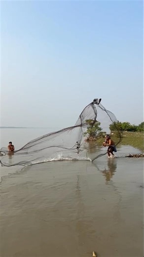 Power Cast Net Action 😆 #riverfishing #villagefishing #netfishing #shorts