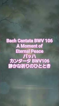 #31 Bach Cantata BWV 106 – A Moment of Eternal Peace バッハ：カンタータ BWV106｜静かな祈りのひととき #クラシック名曲