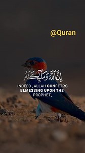 6.7K views · 177 reactions | Quran radio- algeria إذاعة القرآن الكريم - الجزائر on Reels | Facebook