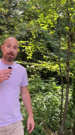 601 reactions · 295 shares | 易 NOUVEAUTÉ GRATUITE À LA CITÉ DES LOISIRS ! Logic Run débarque à Amnéville : un parcours en plein air, fun et intelligent, pour faire bouger les neurones autant que les jambes ! ‍♂️里 Entre pote ou en famille, relevez les défis ludiques et testez votre logique sur cette installation permanente et 100% gratuite ! 勞 | Amnéville Cité des Loisirs | Facebook