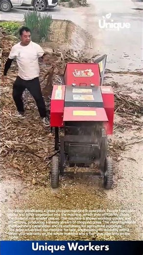 Efficient Grass Chopping: See this Amazing Machine in Action