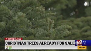 Christmas trees for sale