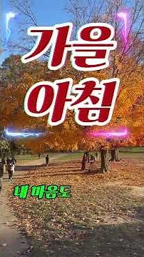 #가을아침 #가을감성 #아침풍경 #가을하늘 #감성사진 #모닝감성 #감성글귀 #가을느낌 #잔잔한아침 #아침산책 #힐링타임 #힐링일상 #소소한행복 #오늘의감성 #감성스타그램 #가을무드