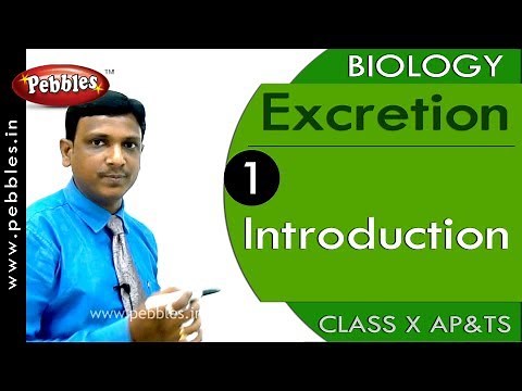 Introduction : Excretion | Biology | Science | Class 10