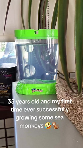 Growing Sea Monkeys Successfully: Tips and Tricks