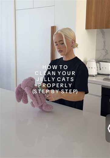How to Properly Clean Your Jelly Cats Step by Step