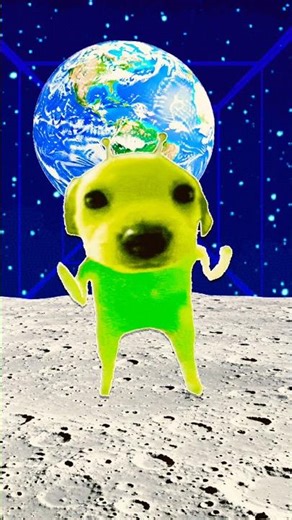 Alien Dog Dancing 👽🐶