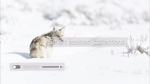 9.7K views · 271 reactions | New! DxO PhotoLab: The Art of Photo...