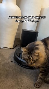 When your cat meets the new kid on the block… at least this one cleans up! Shop yours today! | iRobot