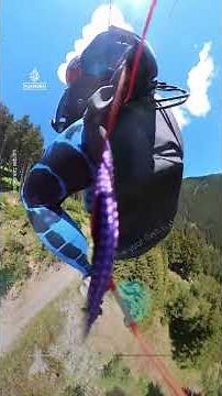 Paraglider survives mid-air collision with plane over Austria