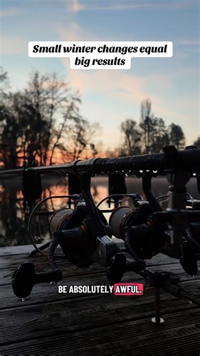 Winter carp fishing gets tougher but the right approach keeps you catching. In this reel I share how I adjust my carp fishing in cold conditions so you can stay productive and comfortable even when the temperatures drop. Small changes in strategy and setup can make a big difference once winter sets in ❄️🎣 #carpfishing #wintercarpfishing #coldwatercarp #carpfishinguk #fishingtips #bigduffsfishing #carpangling #ukfishing | Big Duffs Fishing