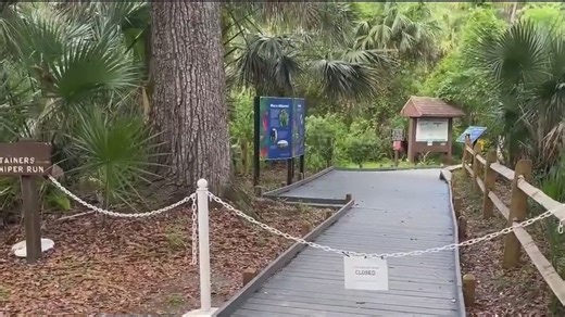 Massive alligator forces boating closure at Juniper Springs after aggressive encounters