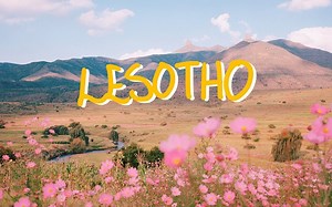 胶片风光摄影 | 玛米亚7ii_哔哩哔哩_bilibili