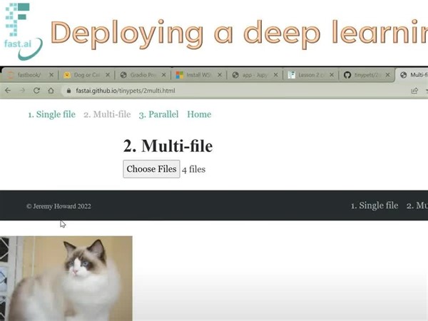 码农的零门槛AI课：基于fastai与PyTorch的深度学习-Lesson 2