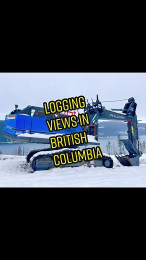 Today was bring your friend to work day! 😆 @ianburns87 🪵 🌲 🏔️ ⛓️ 🌧️ #burnslogging #ianburnslogging #bigwinch #buncher #logging #lumbybc #explorebc #mablelakebc #adventure #logging2022 #loggers #rainydayadventure #bringyourfriendtoworkday #ishovelledhalfatrack