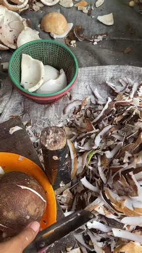 The Art of Fruit Cutting: Techniques and Tips