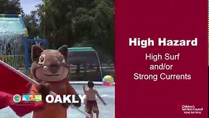 100 reactions · 71 shares | Do you know what the colors of beach flags mean? Let Buddy the Seahorse and his friends teach you what to do when you see a purple flag, a red flag, a yellow flag, a green flag or a red flag with a swimmer crossed out. For more water safety tips, visit EveryParentPBC.org/safety. | Children's Services Council of Palm Beach County | Facebook