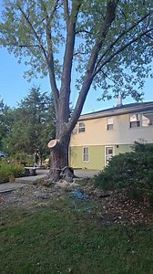 BOBBY TREE CARE LLC on Reels | Facebook