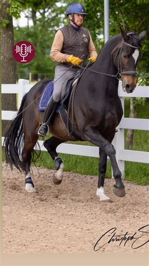 Warum entscheidet dein Knie darüber, ob du wirklich mit deinem Pferd in Balance sitzt? In Folge 25 sprechen wir darüber, wie ein ruhiges Knie zu einem ruhigen Sitz und zu echter Harmonie führt. 👉 Knie zu. Kopf hoch. Reitet wie die Götter. 👉 Jetzt anhören! #MitDemPferd #PodcastNeu #Reitersitz #KlassischeReitkunst #KnieZu #doitride #classicaldressage #dressurreiten #podcast #christophackermann | Christoph Ackermann - Condé Reitseminare