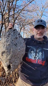 79K views · 1.2K reactions | Snip and Catch a high hornets nest! Wasp Nest Removal! #fyp #viral #hornetking #viralvideos #yellowjacket #hornet | Hornet King | Facebook