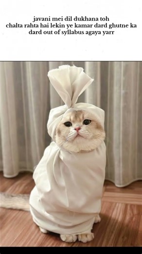 syllabus#memes#popular#viral#aesthetic#funnymemes#tweetreels#lofichill