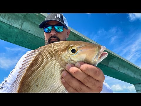 Florida Keys Bridge Fishing | Channel 5 bridge