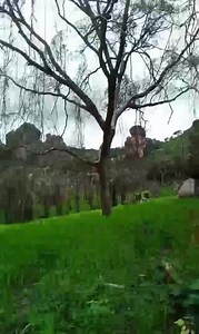 20K views · 906 reactions | From austria to fouta djalon guinée learning pular | Hassan Bah | Facebook