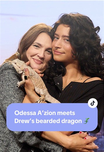 Determining the Gender of Drew's Bearded Dragon